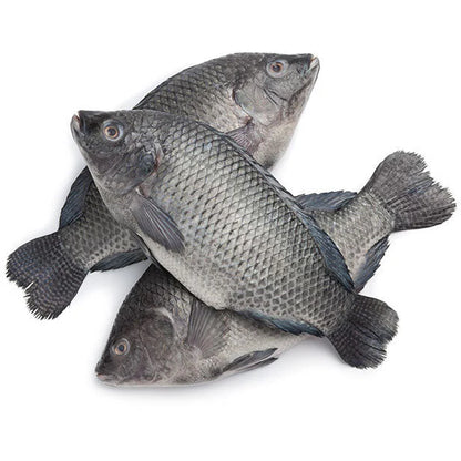 Ocean Classic Whole Tilapia Fish (2kg)