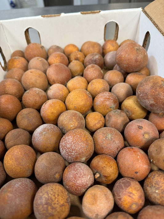 Sugar Plum (Wild Loquat) (Mazvanje) (per box)