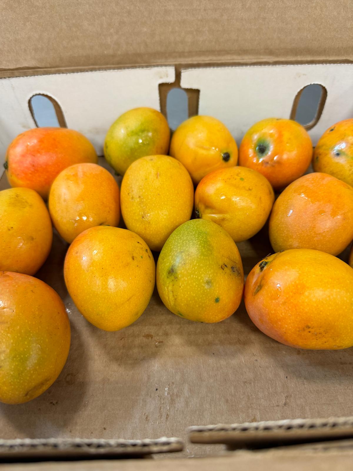 Zimbabwean Mangos (per box)