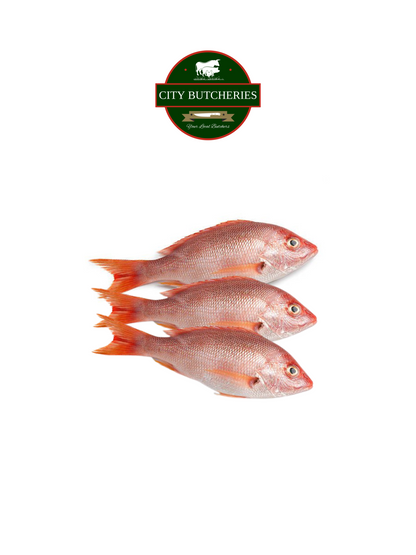 Red Snapper Fish (1.3kg)(Frozen)